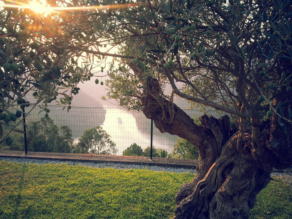 Quinta Das Tilias Douro Valley Cabaca Екстер'єр фото