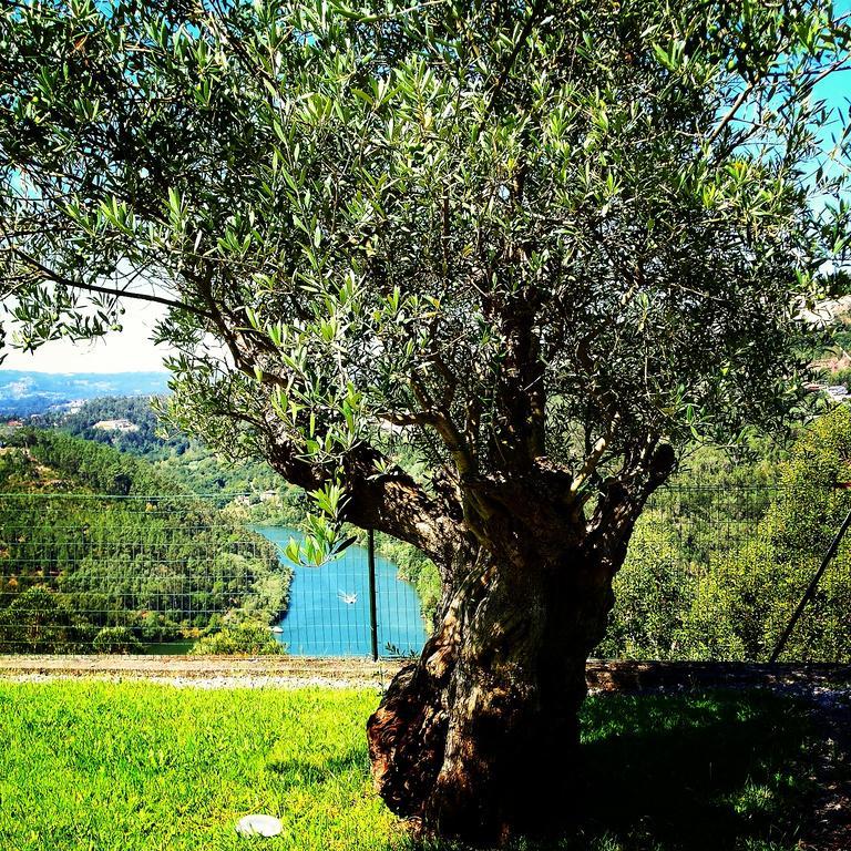 Quinta Das Tilias Douro Valley Cabaca Екстер'єр фото